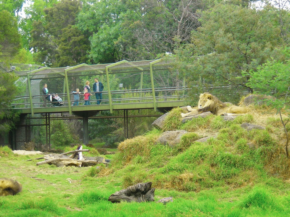 sở thú melbourne zoo
